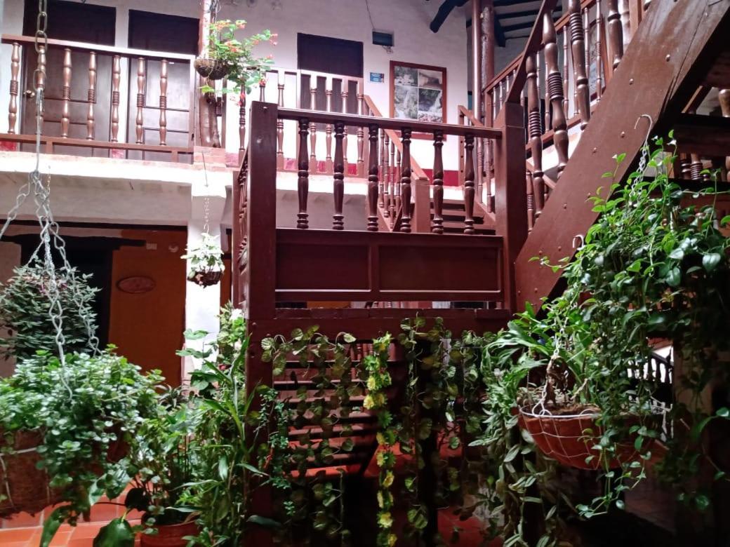 Hotel Central Graciela Valle de San Jose ภายนอก รูปภาพ